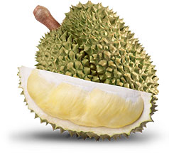 Durian