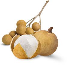 Longan