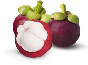 Mangosteen